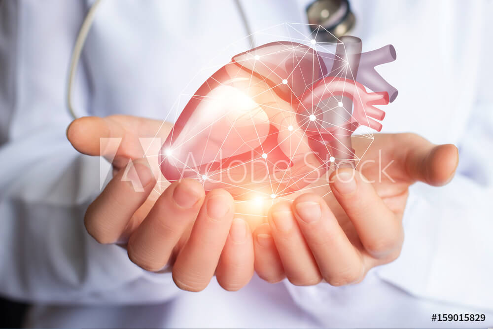 Arzt hält Herz