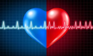 hart bij atriale fibrillatie